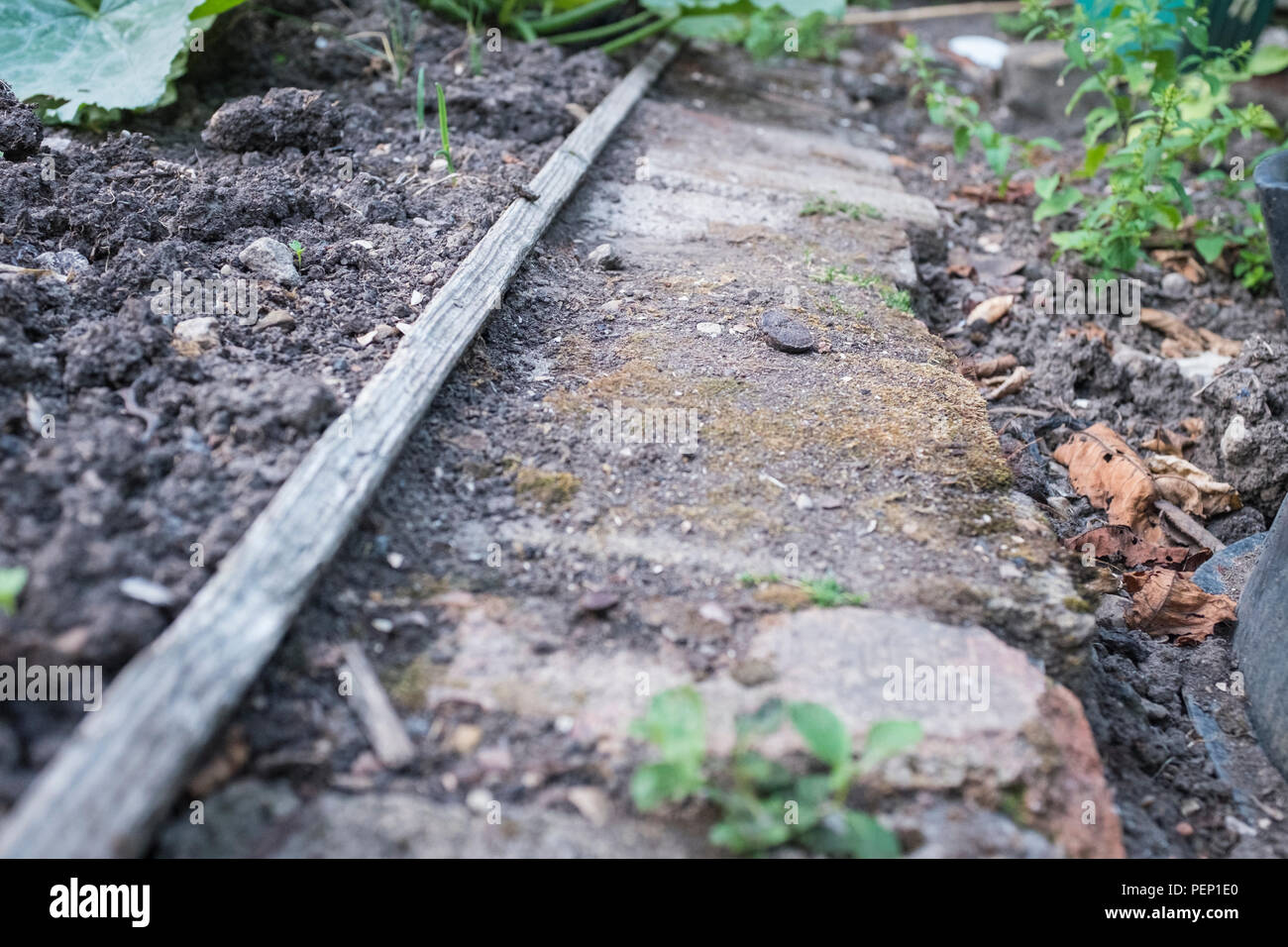Old brick garden hi-res stock photography and images - Alamy