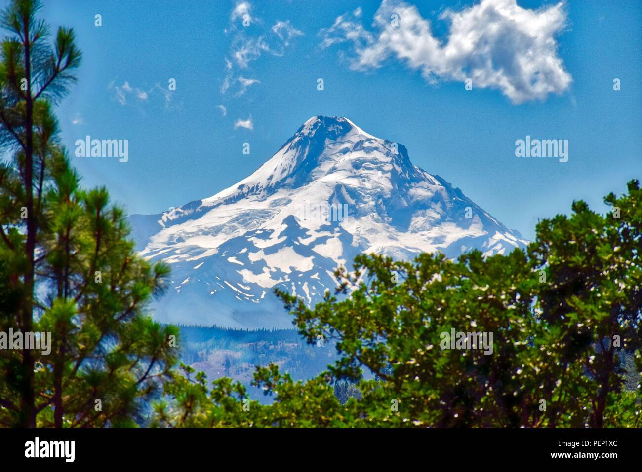 Mt Hood in Oegon Stock Photo Alamy
