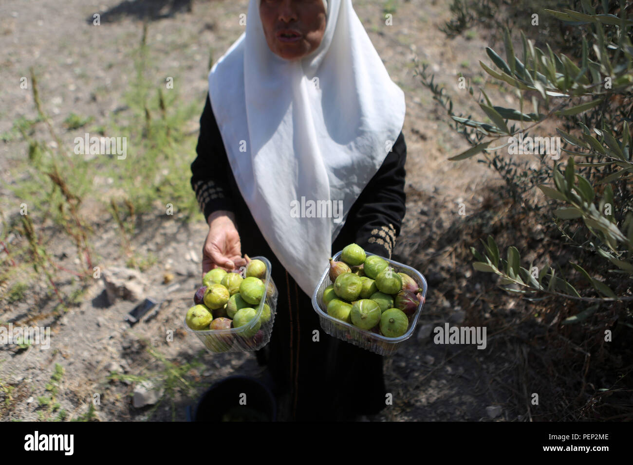 Nablus, West Bank, Palestinian Territory. 16th Aug, 2018. A Palestinian
