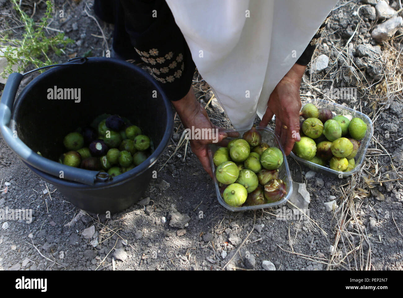 Nablus, West Bank, Palestinian Territory. 16th Aug, 2018. A Palestinian