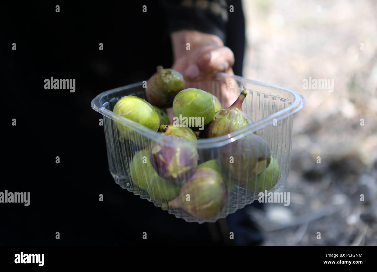 Nablus, West Bank, Palestinian Territory. 16th Aug, 2018. A Palestinian