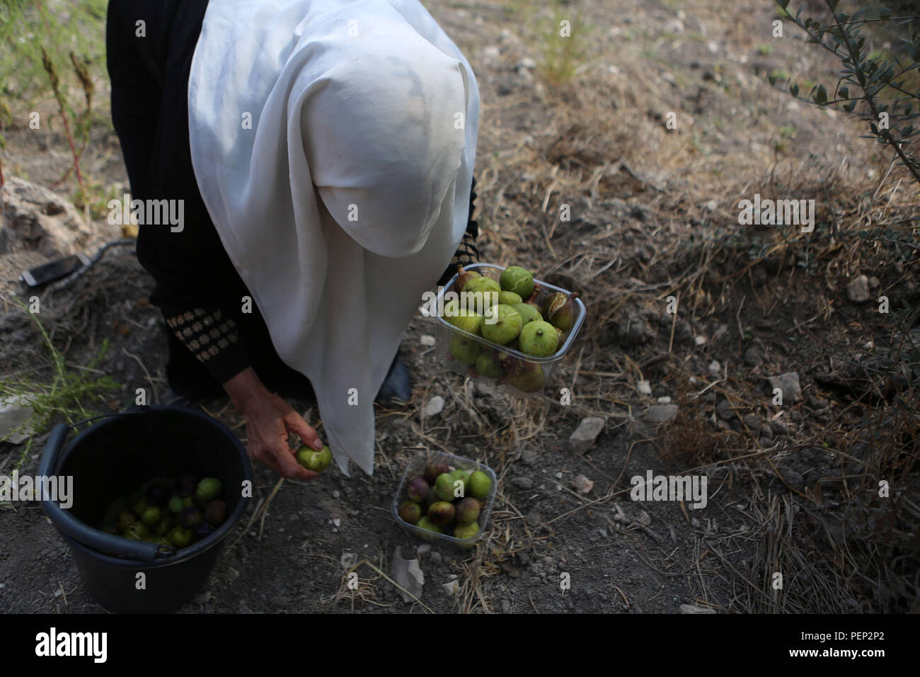 Nablus, West Bank, Palestinian Territory. 16th Aug, 2018. A Palestinian
