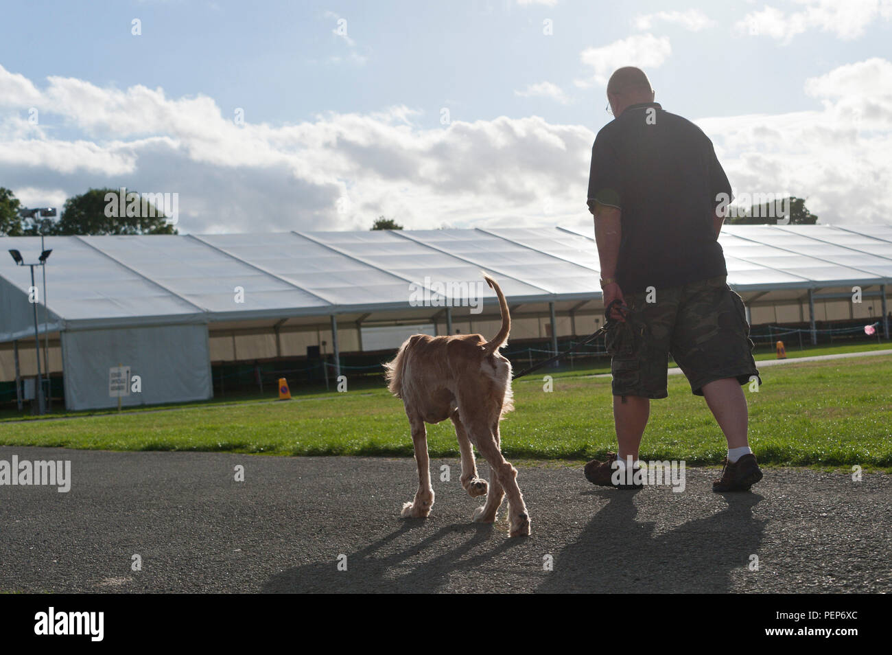 The Welsh Kennel Club