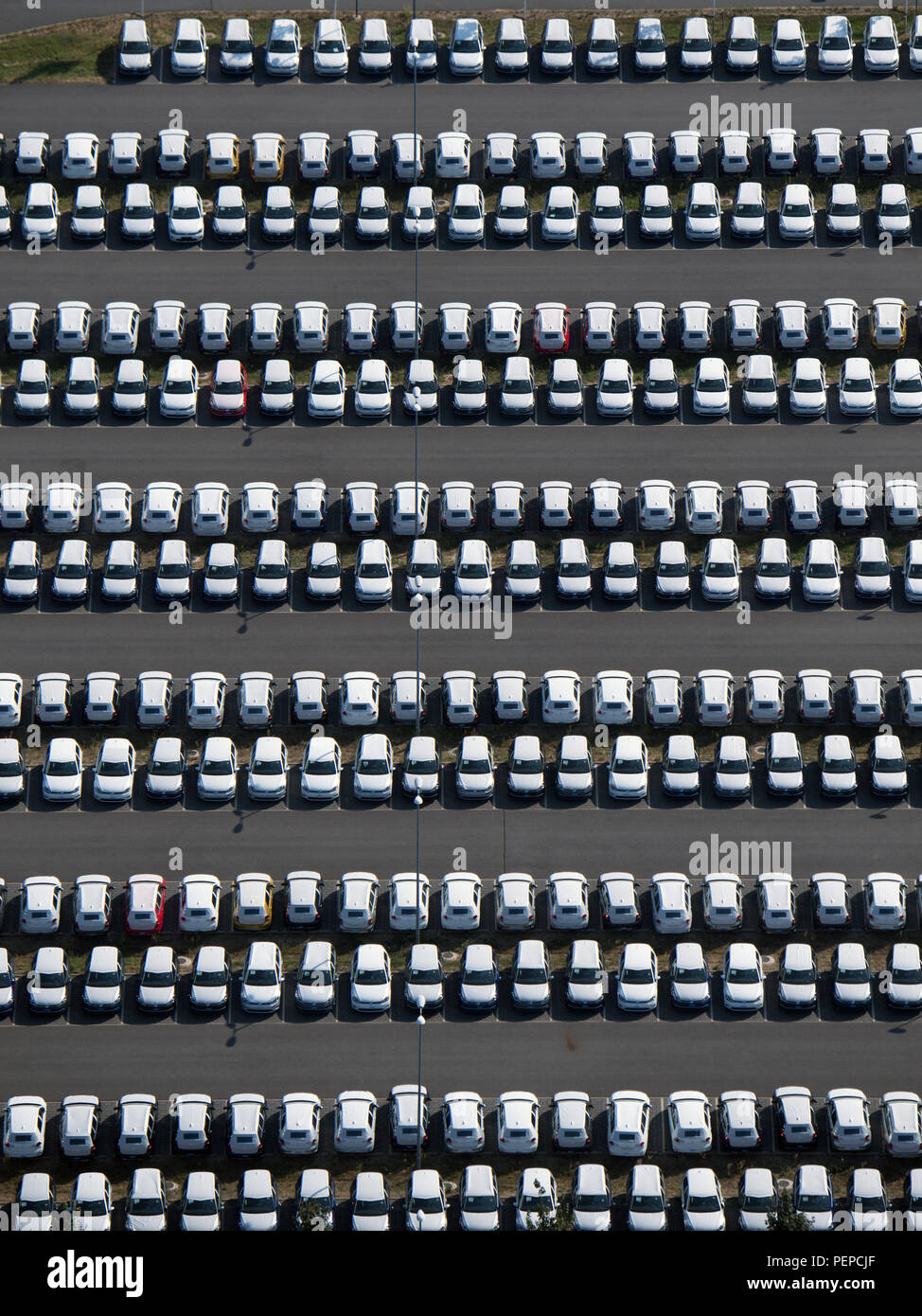 Schoenefeld, Germany. 17th Aug, 2018. Unregistered Volkswagen vehicles