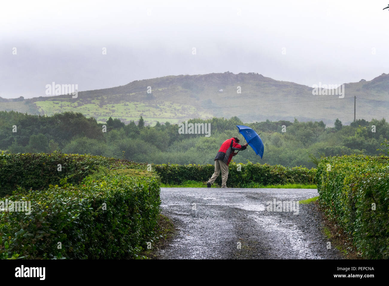 Ardara, County Donegal, Ireland weather. 17th August 2018. A man struggles along a road on a day of high wind and heavy rainfall on Ireland's north-west coast. Credit: Anna Hidalgo-Wayman/Alamy Live News Stock Photo