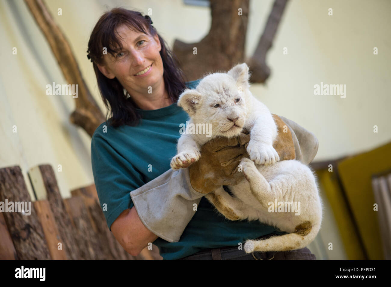 Magdeburg, Germany. 17th Aug, 2018. The zookeeper Susanne Paelecke ...