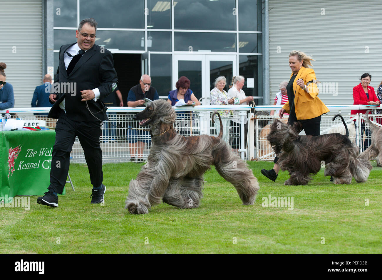 The Welsh Kennel Club