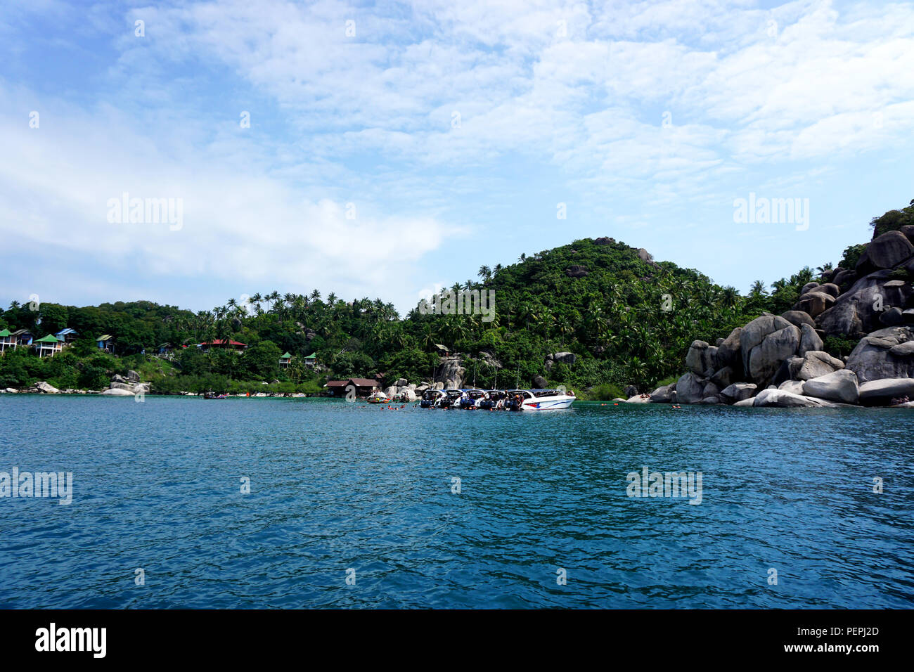 Shark bay phi phi hi-res stock photography and images - Alamy