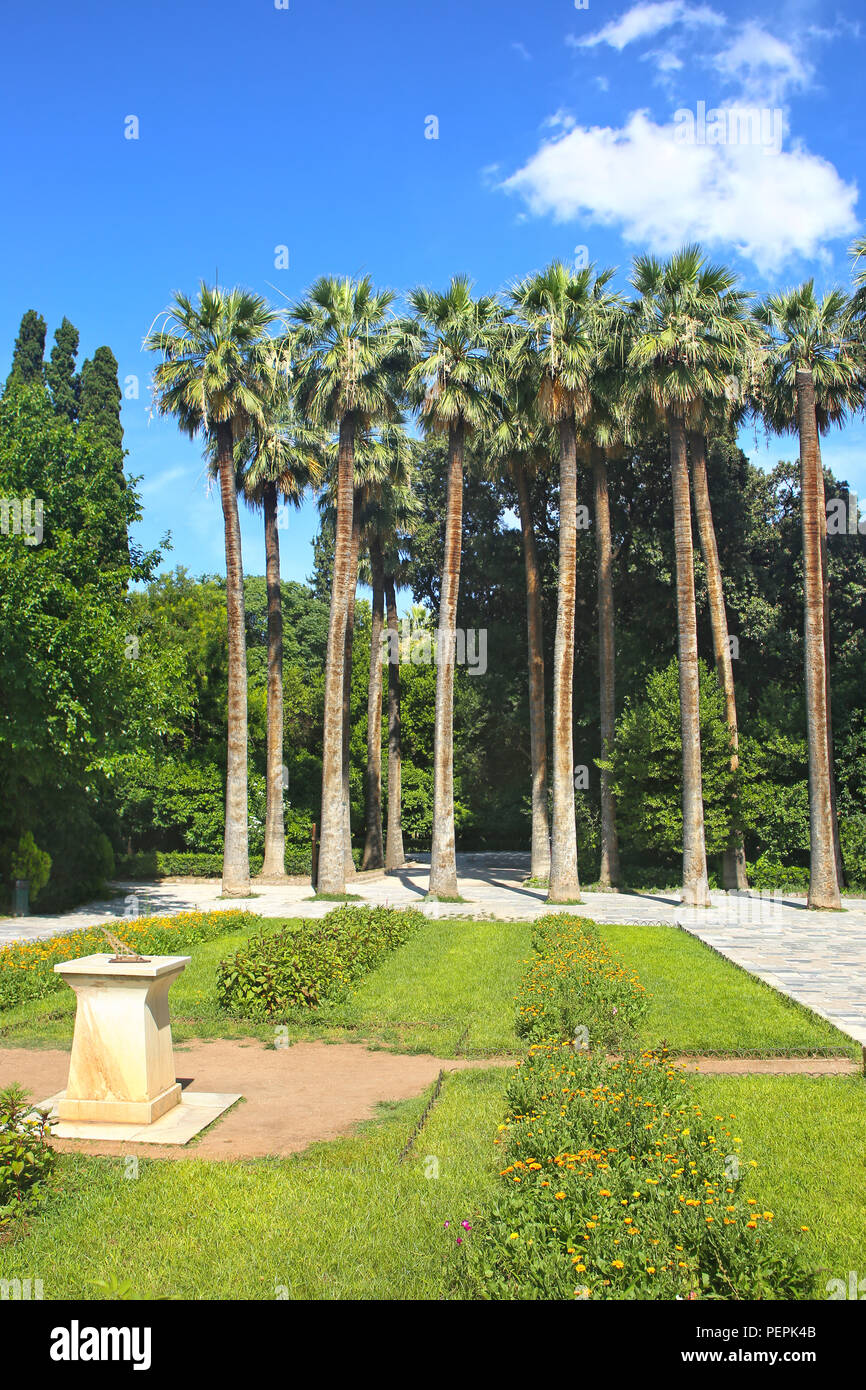 Tall Palm Trees At The National Garden Of Athens Greece Stock