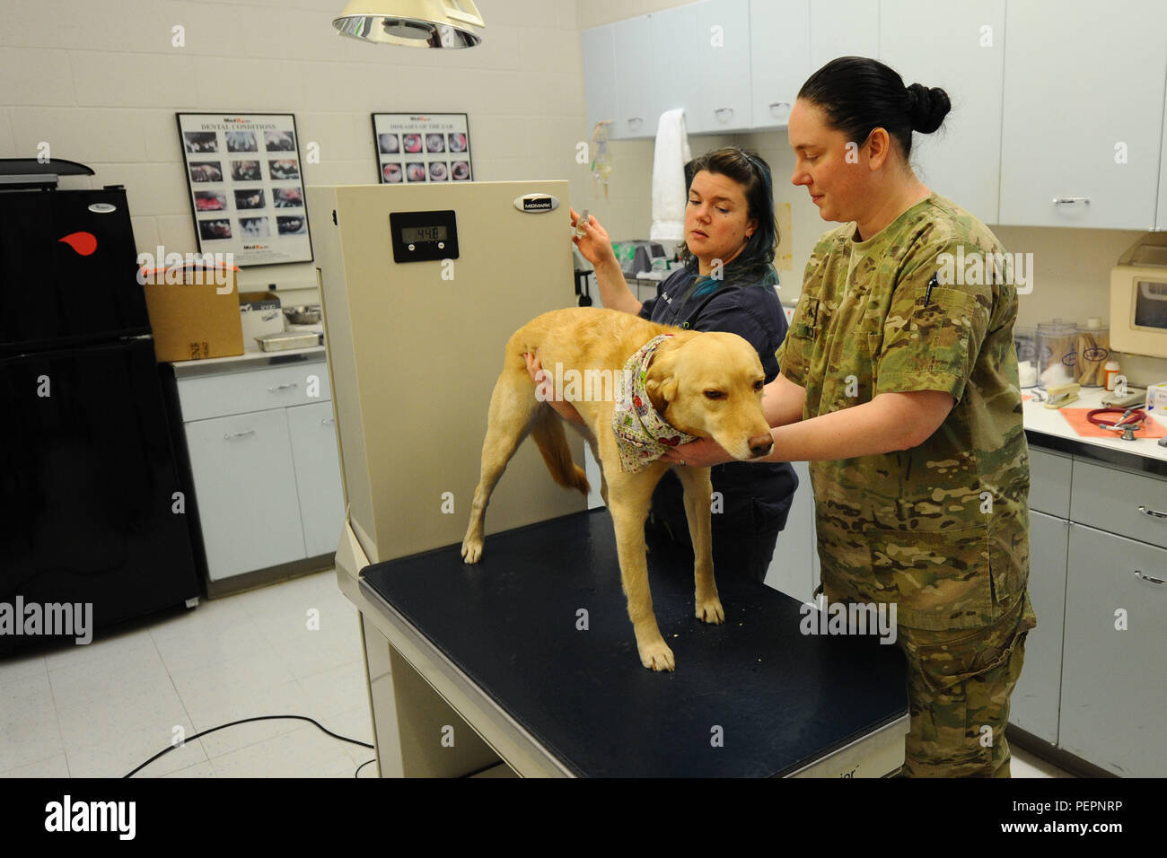 Dr. Erin Hiskett, left, McConnell Veterinary Clinic veterinarian