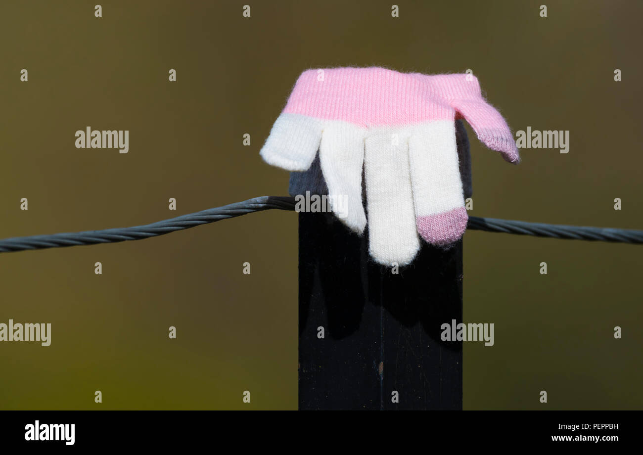 A single lost glove put on a post after being found. Lost concept. Stock Photo
