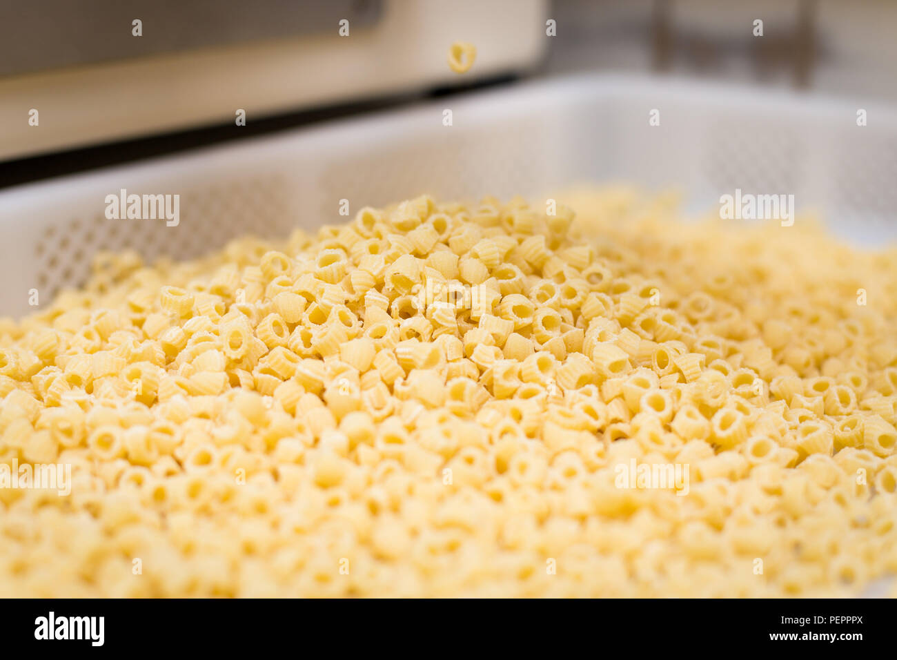 Mini penne pasta being cut using a die cutter Stock Photo Alamy
