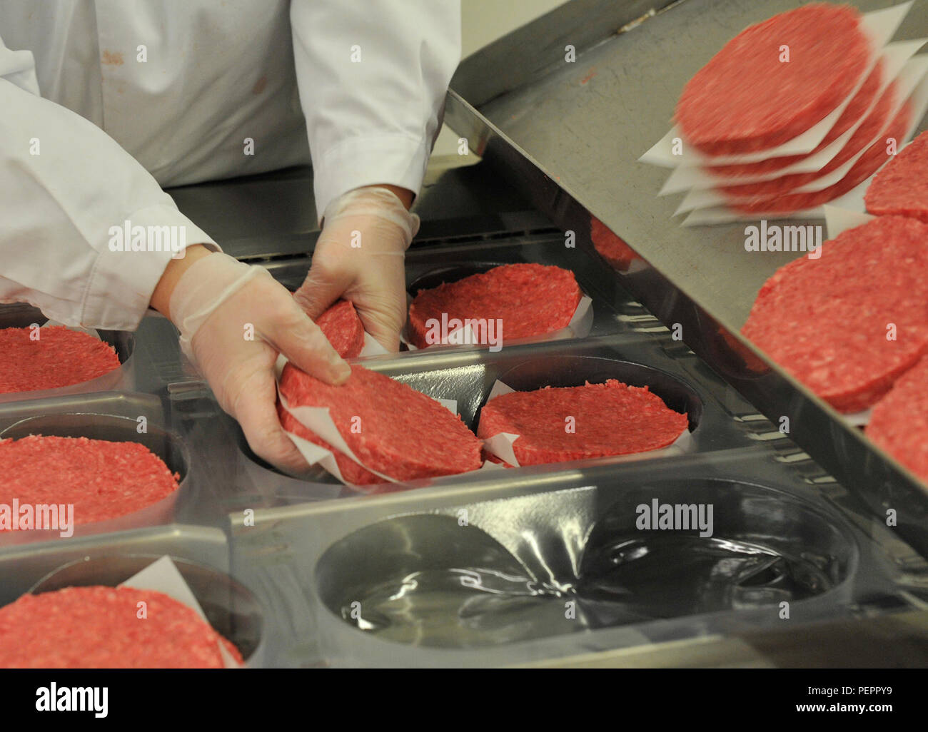 An employee hand packages hamburger patties at the Ramstein Central Meat Processing Plant Jan. 25, 2016, at Ramstein Air Base, Germany. The Ramstein CMPP cuts, packages and ships more than 713,000 pounds of fresh and frozen beef and pork to 35 commissaries and 18 Army and Air Force Exchange Service locations overseas. (U.S. Air Force photo/Airman 1st Class Larissa Greatwood) Stock Photo
