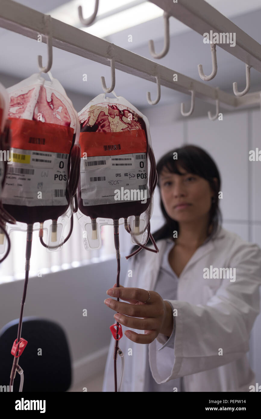 Laboratory technician analyzing blood bags Stock Photo Alamy