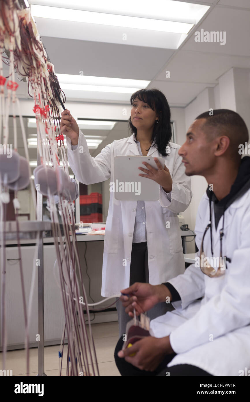 Laboratory technicians analyzing blood bags Stock Photo
