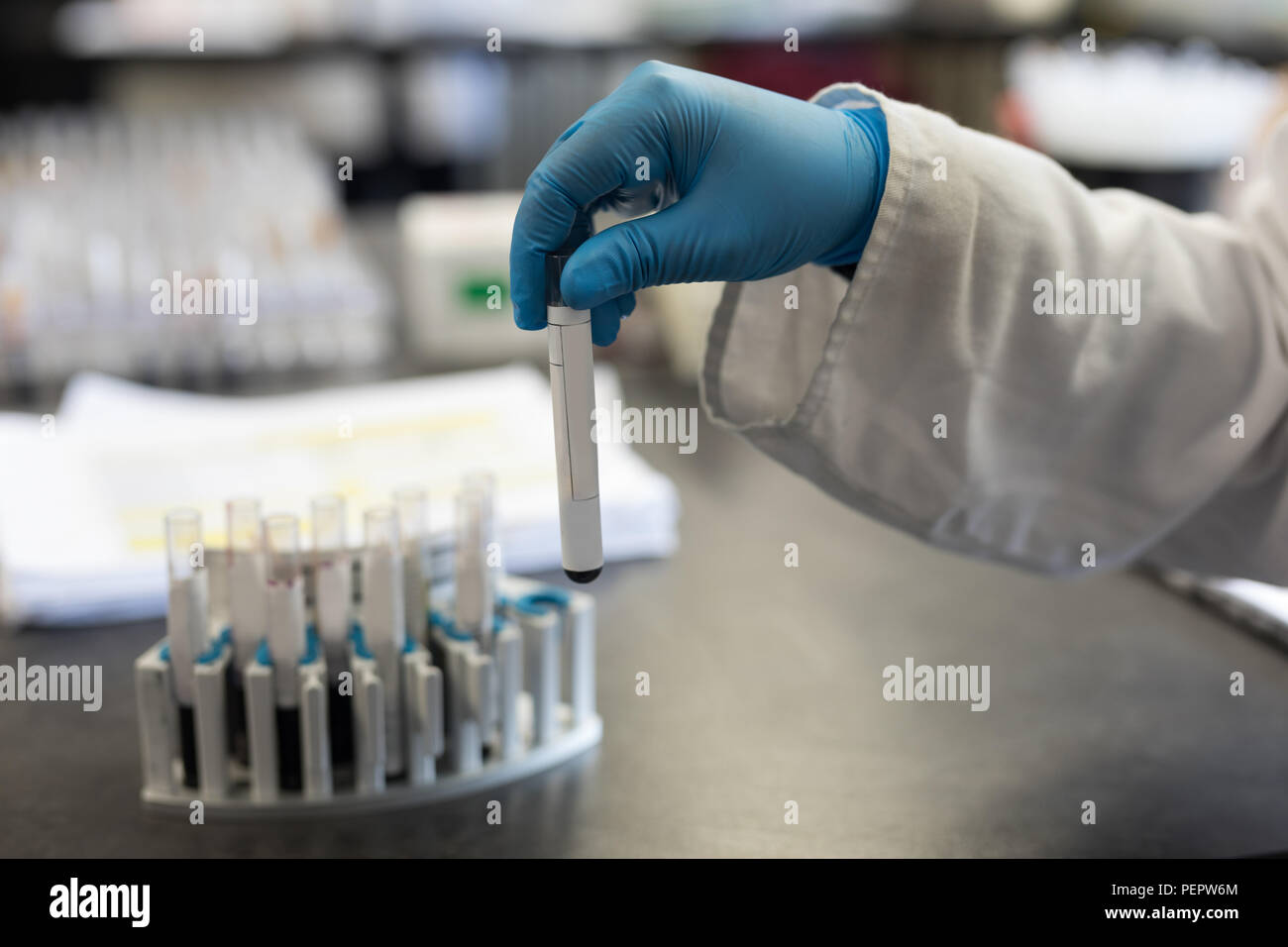 Laboratory technician analyzing chemical solution Stock Photo Alamy