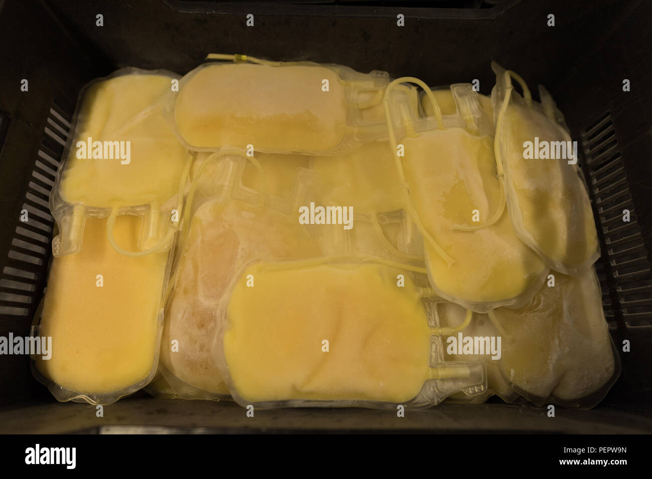 Plasma bags in a crate at blood bank Stock Photo Alamy