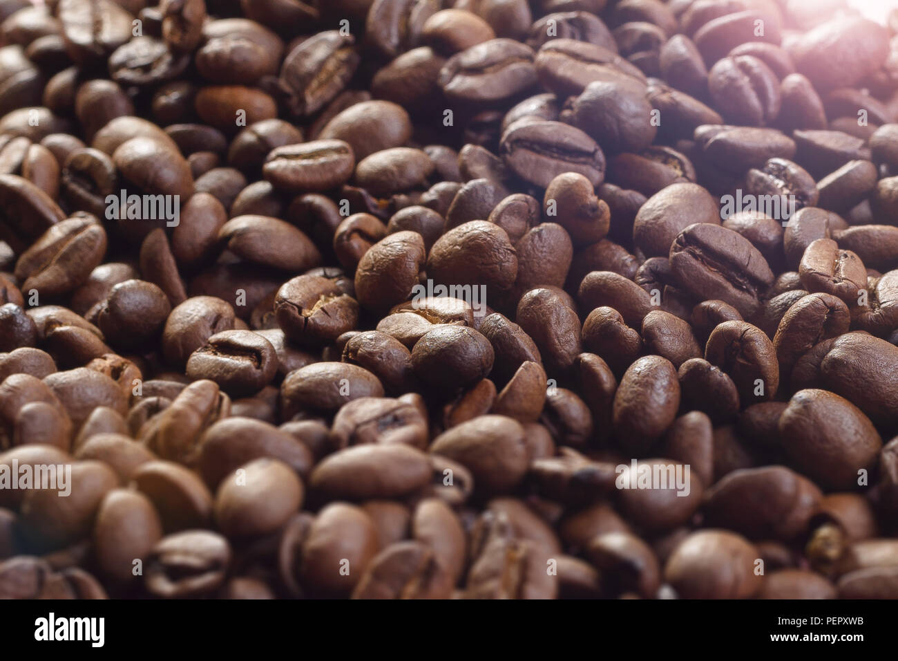 Lots of coffee beans website background textspace Stock Photo