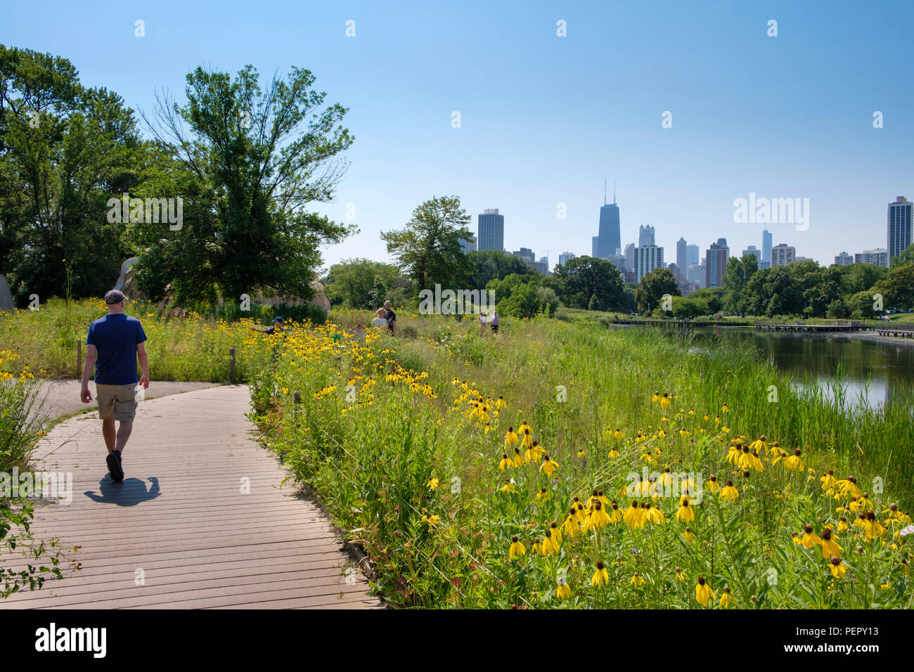 Skyline and Man walking on Nature Boardwalk at Lincoln Park Zoo in summer, Chicago, Illinois, USA Stock Photo
