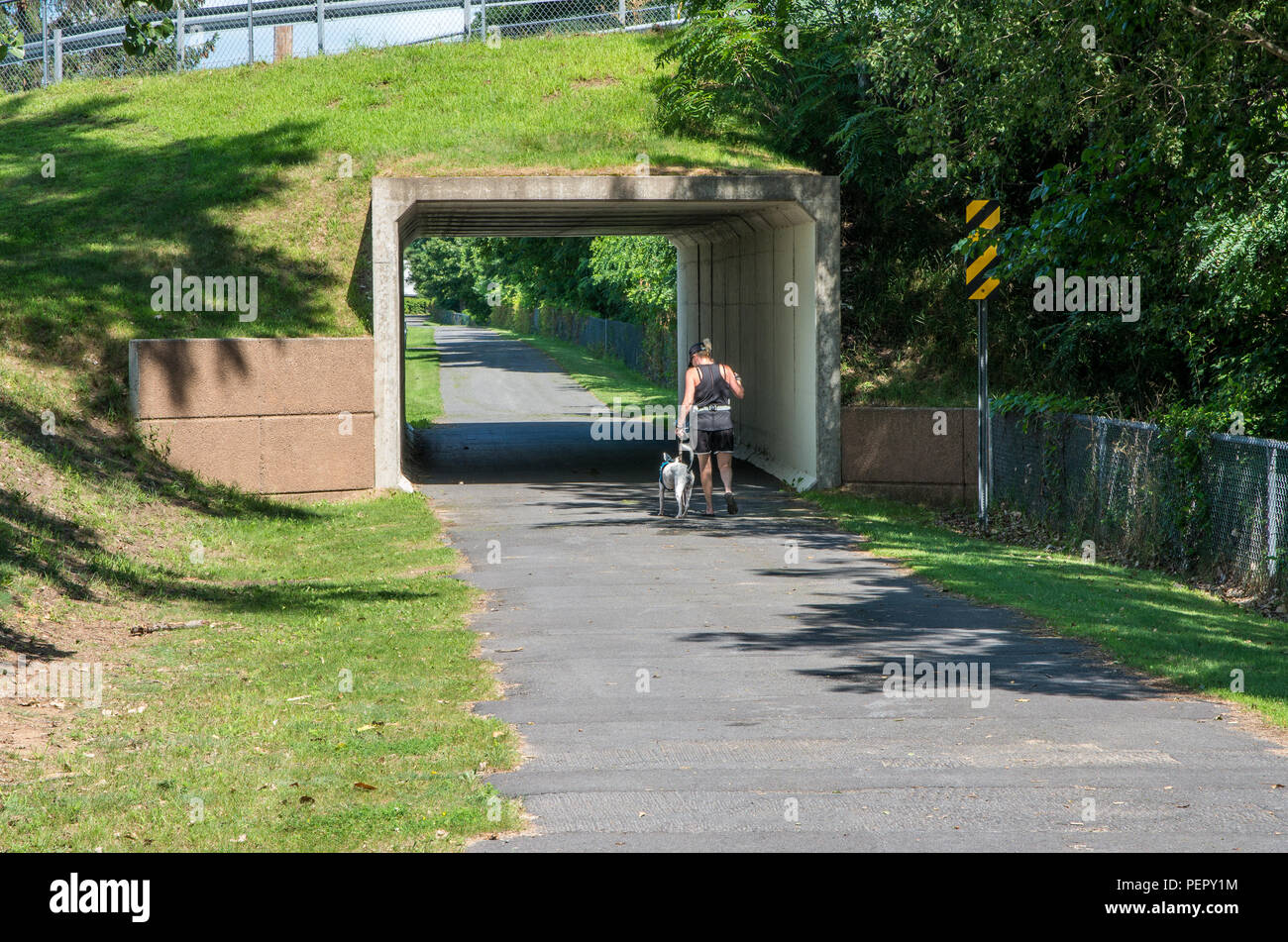 Blond woman walking on a bike path with her white spotted dog Stock Photo