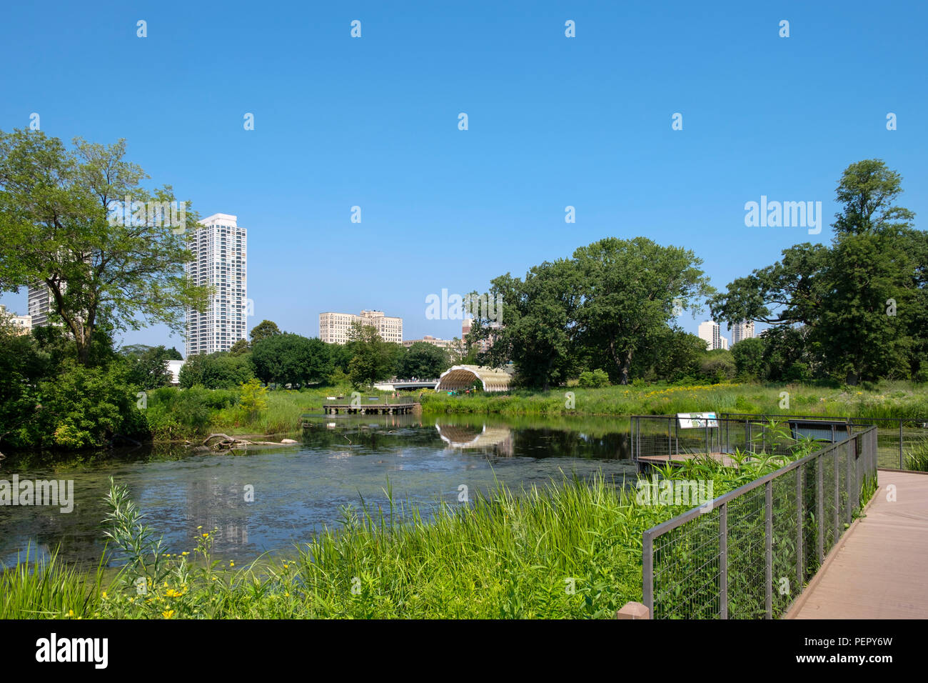 Skyline and Nature Boardwalk summer, Chicago, Illinois, USA Stock Photo