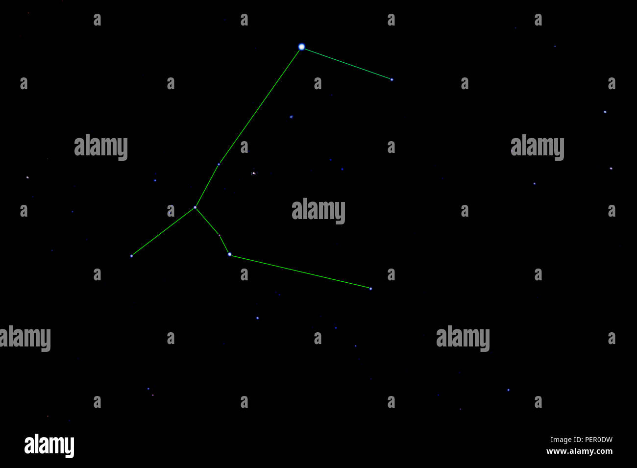 Canis Major constellation. Star cluster messier 41 Stock Photo