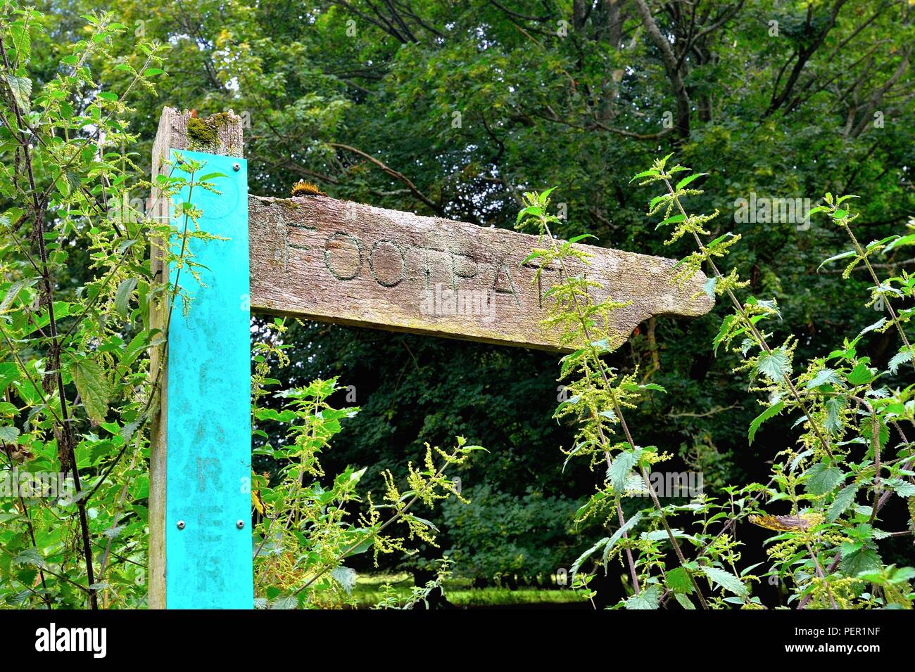 A very weathered wooden footpath signpost on the Wayfarers Way at Hinton Ampner Hampshire England UK Stock Photo