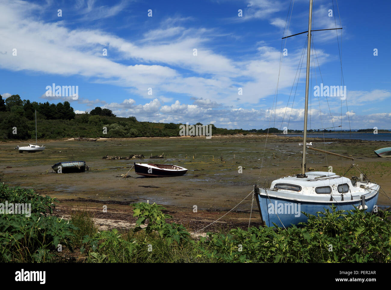 Low tide and Anse du Guip from Le Salzen, Ile Aux Moines, Morbihan, Brittany, France Stock Photo