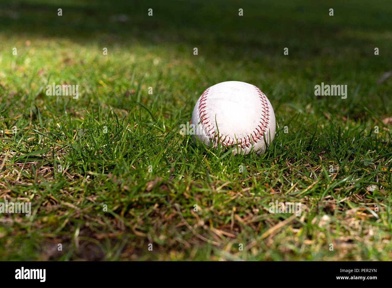 Used baseball laying on green grass on baseball field Stock Photo Alamy