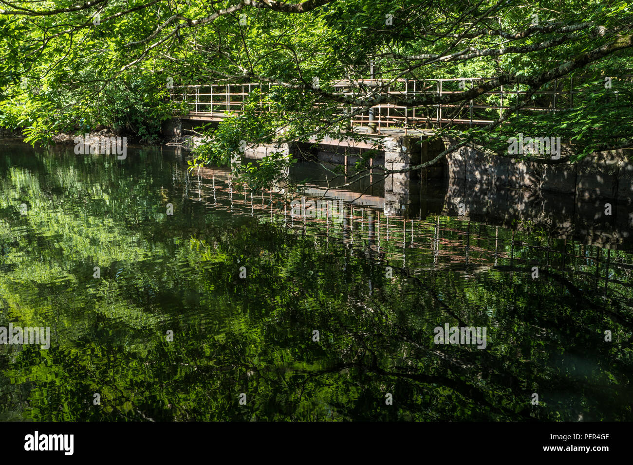 Lake with trees reflected in the water. Stock Photo