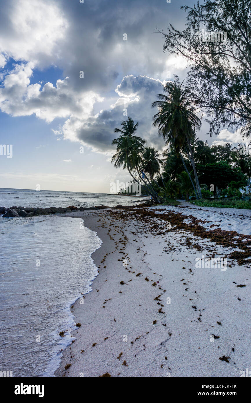Rockley Beach, Bridgetown, Barbados Stock Photo Alamy