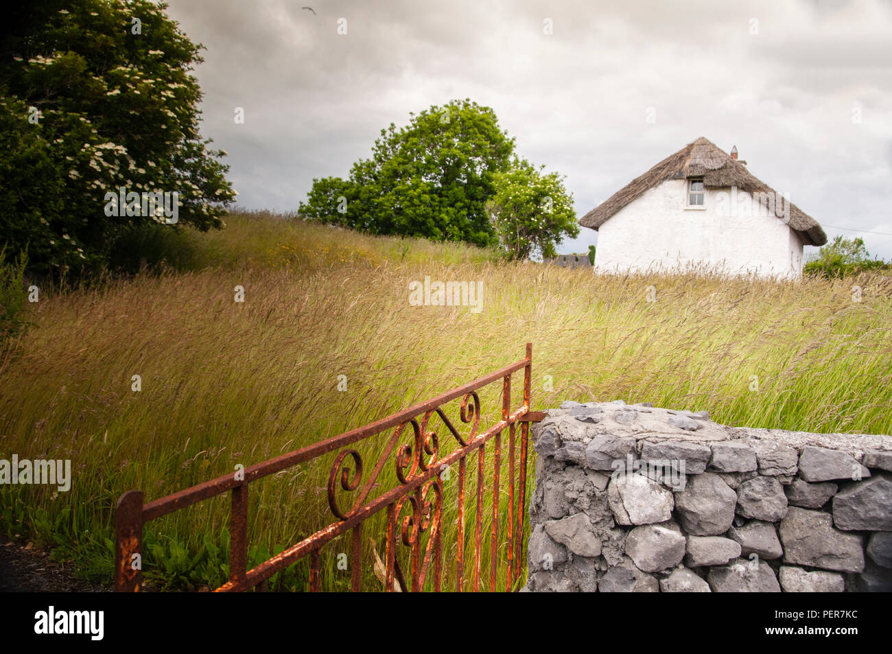 A thatched roof cottage is a lovely symbol of the land of the Irish with a decorative rusted gate and stone wall framing swaying grasses in Kinvara. Stock Photo
