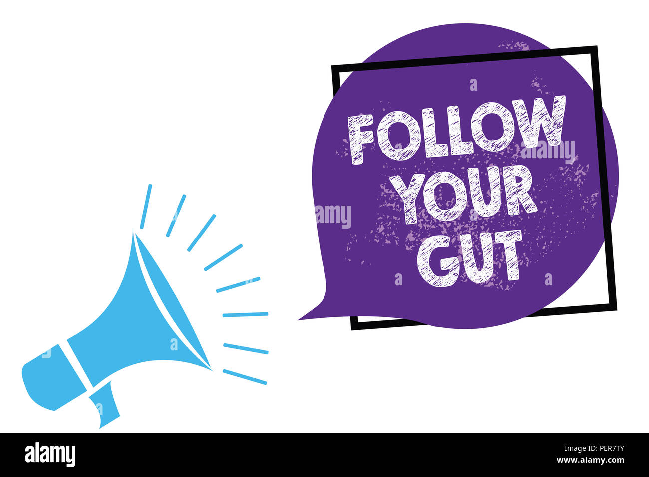 Conceptual hand writing showing Follow Your Gut. Business photo text Listen to intuition feelings emotions conscious perception Megaphone loudspeaker  Stock Photo