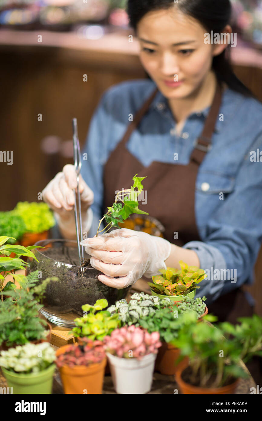 Young woman working in plant shop Stock Photo