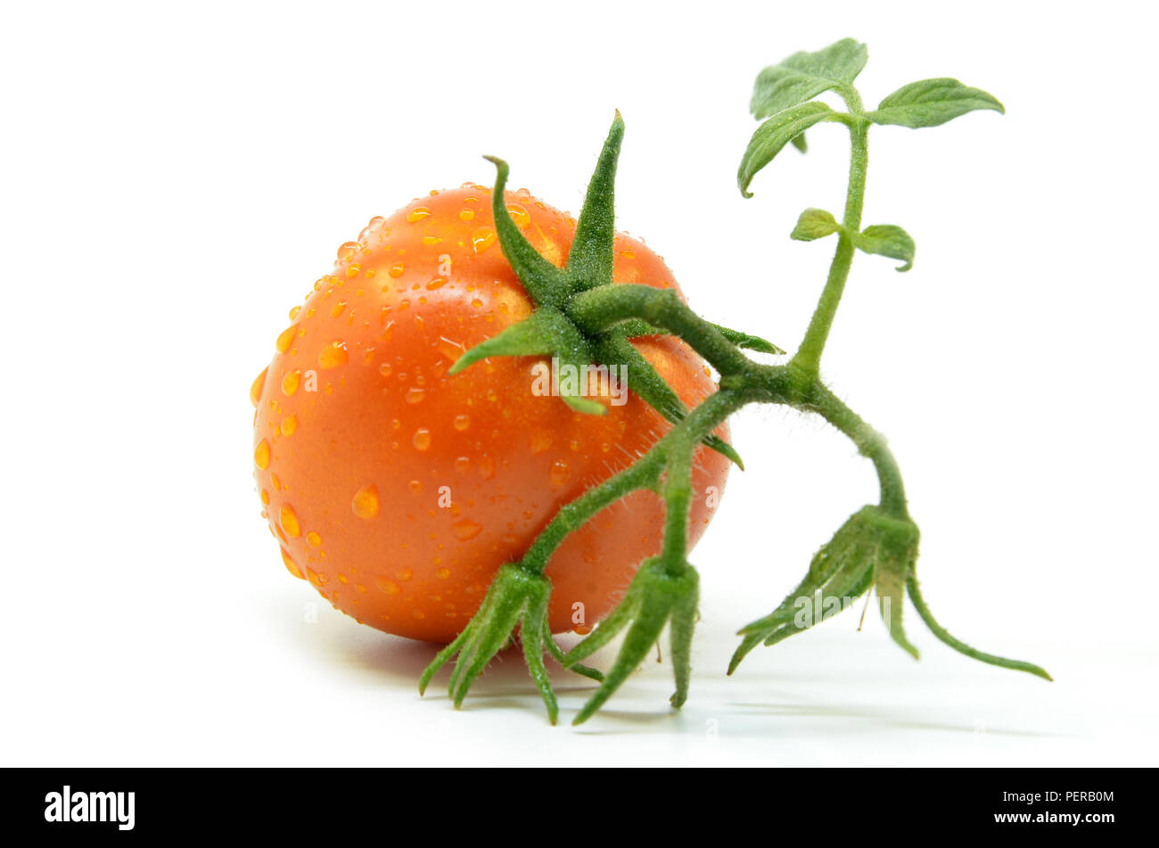 Fresh tomato with water drops isolated on white Stock Photo - Alamy