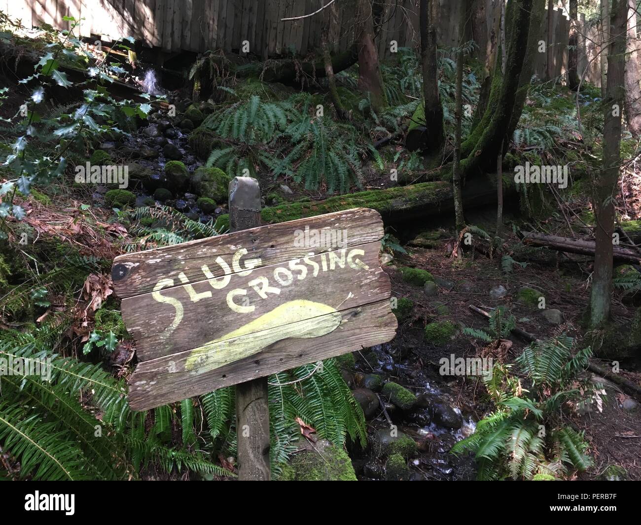 'Slug Crossing' Wooden Sign, Capilano Bridge, Vancouver, Canada Stock Photo