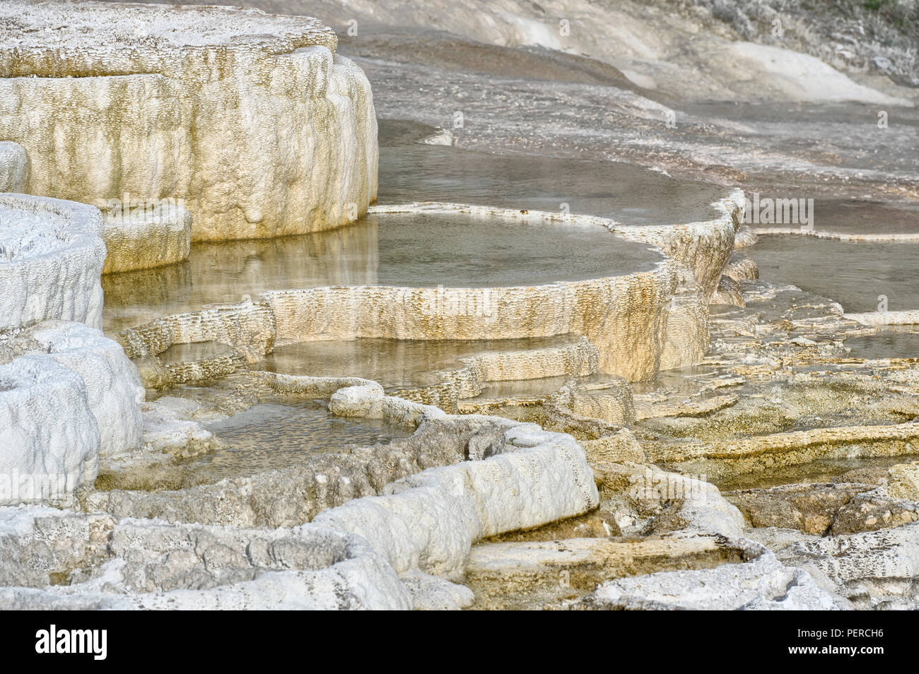 Mineral deposit terraces, Mammoth Hot Springs, Yellowstone National Park, Wyoming, USA Stock Photo