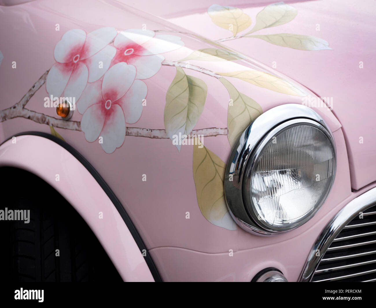 2000 Rover Mini flower painted. Stock Photo