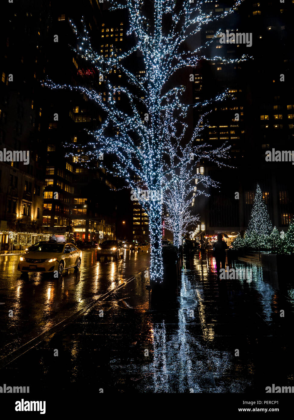 tree covered in white christmas lights reflecting on the rainy ground