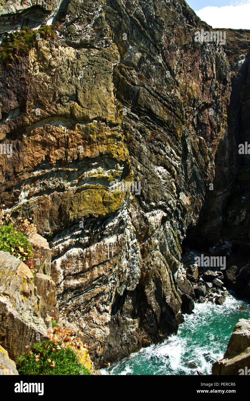 The ancient rocks of South Stack date back 600 million years to the Pre-Cambrian period and are metamorphosed sediments formed in ancient shallow seas Stock Photo
