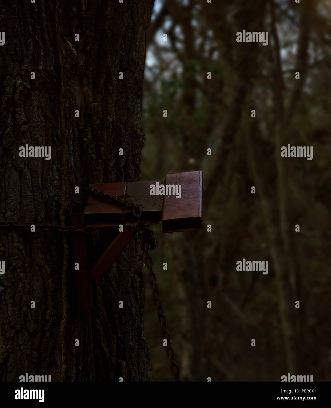 Old Deer Stand in Tree Stock Photo Alamy