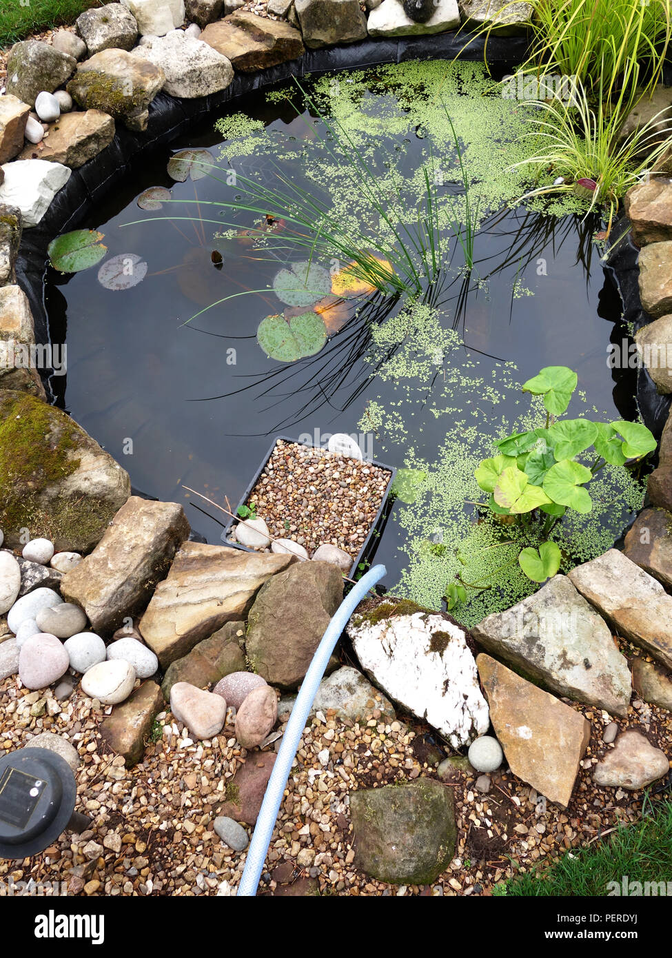 Pipe ready to top up water into a cottage small pretty garden pond in  England Stock Photo - Alamy