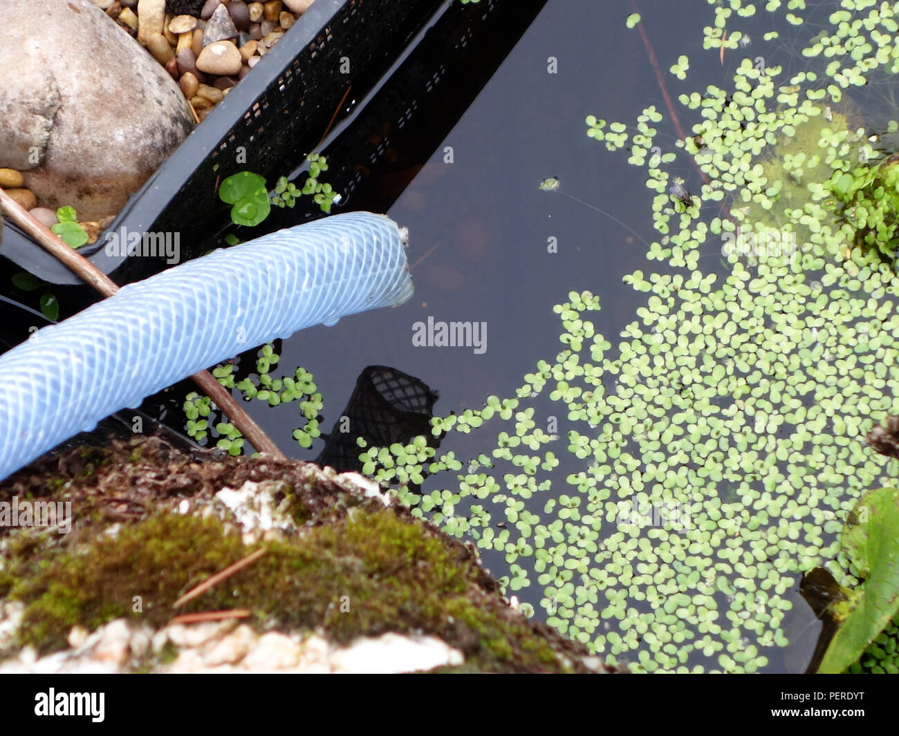 Pipe ready to top up water into a cottage small pretty garden pond in