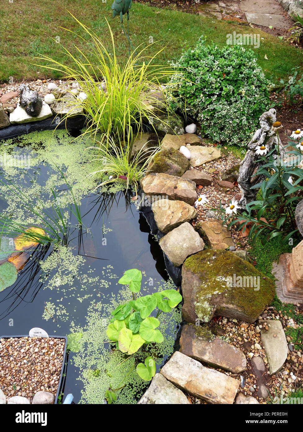 Cottage Small Pretty Garden Pond In England Stock Photo 215645489