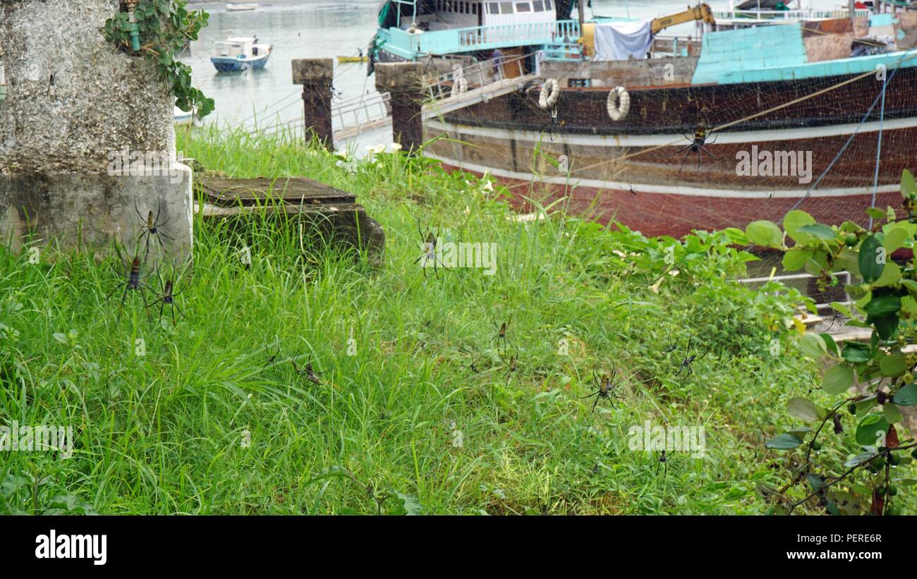 A quay at Mombasa's harbor in Kenya, Africa. News Photo - Getty Images