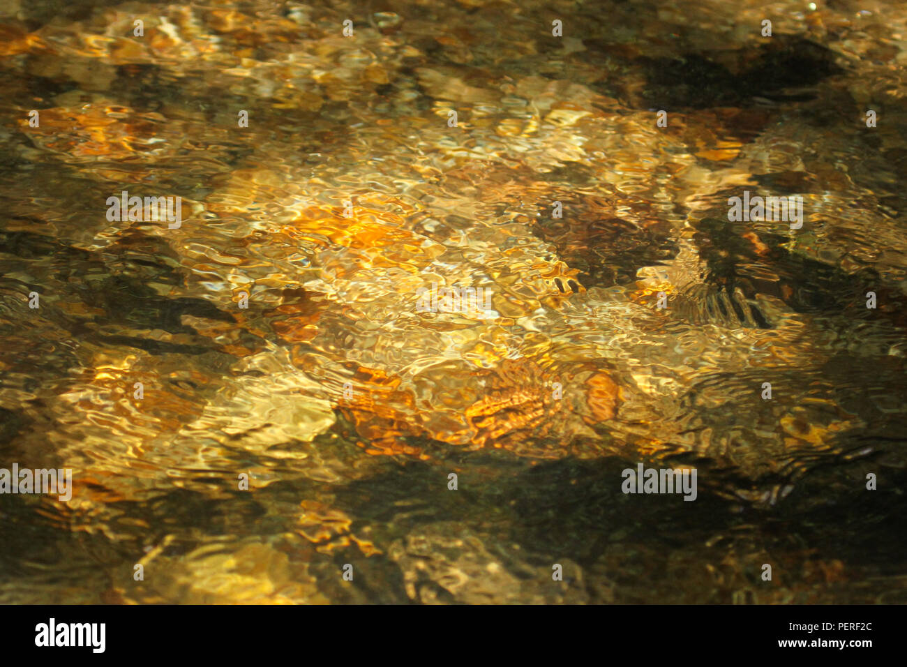 Golden water in a small trout stream in the Blue Ridge Mountains of