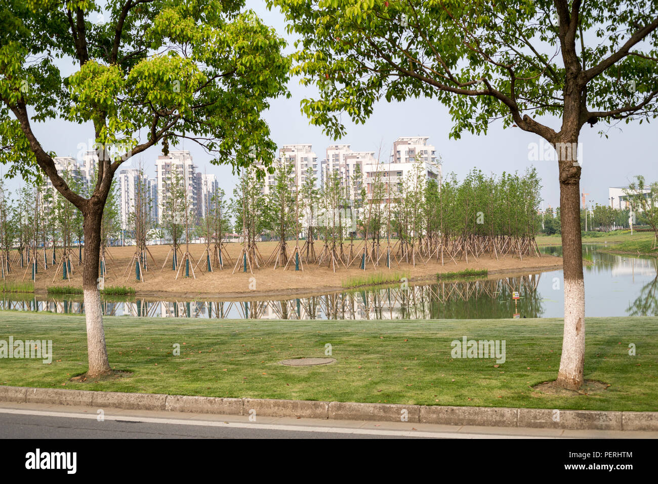 Suzhou, Jiangsu, China.  Newly-planted Trees with Support Bracing. Stock Photo