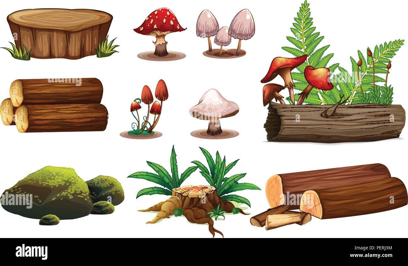 A set of wood element illustration Stock Vector Image & Art Alamy