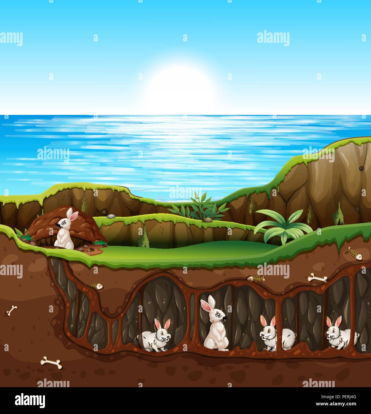 Rabbit living in underground illustration Stock Vector Image & Art - Alamy