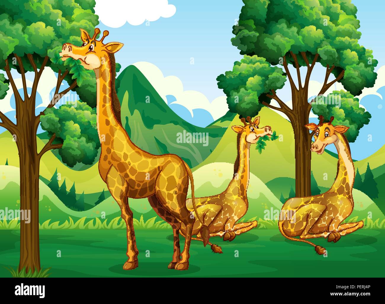 A group of giraffe in forest illustration Stock Vector Image & Art - Alamy